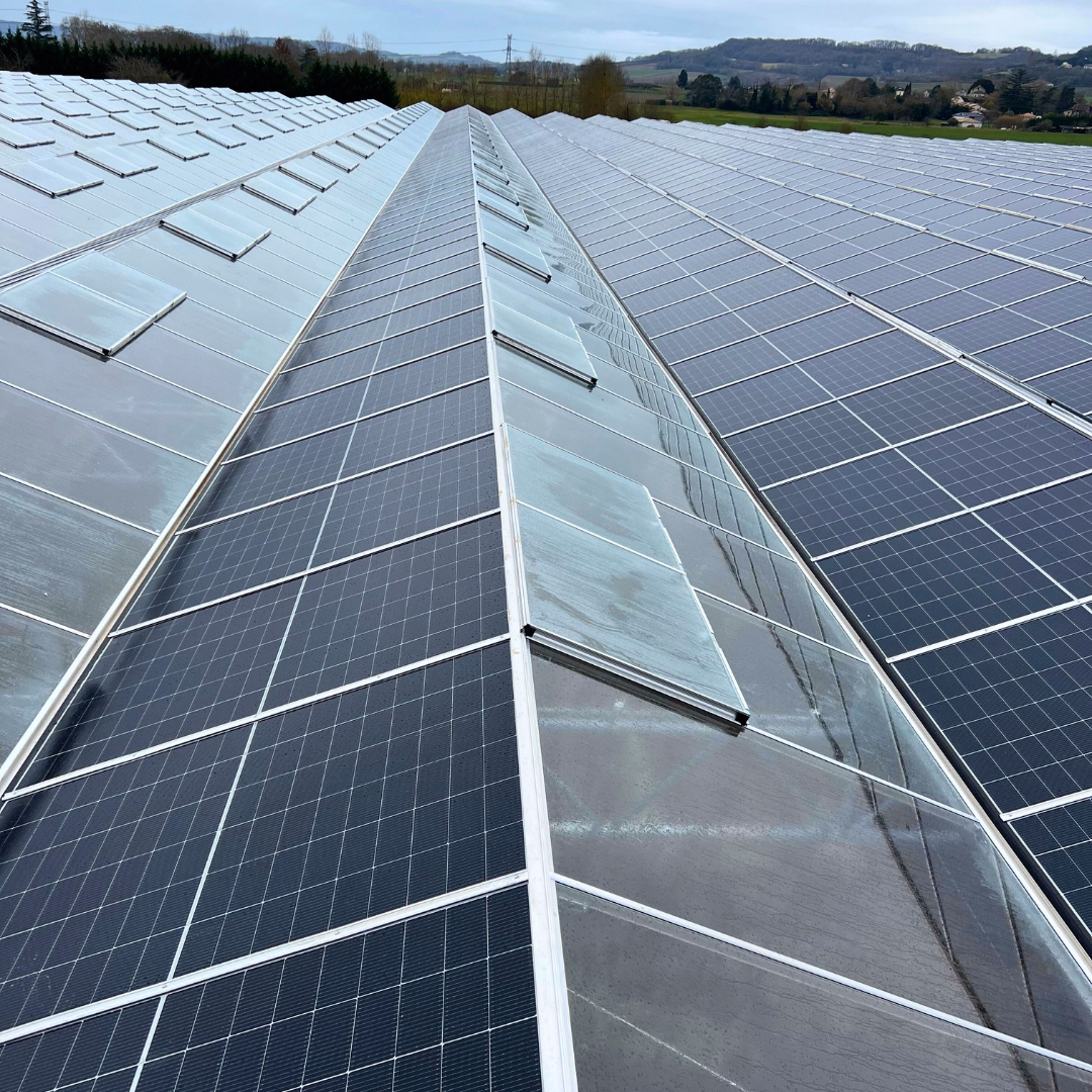 Dach szklarni fotowoltaicznej z panelami PV i wietrznikami dachowymi.