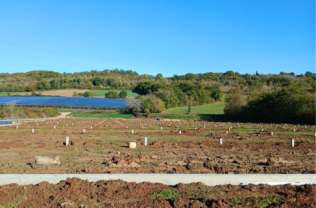Fundamenty pod szklarnię fotowoltaiczną na etapie przygotowania terenu.