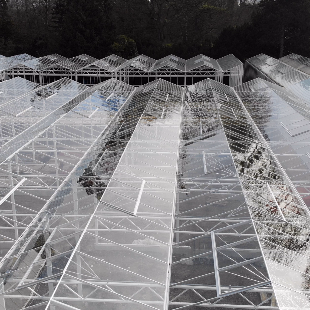 Przeszklony dach wielofunkcyjnego centrum ogrodniczego w trakcie montażu.