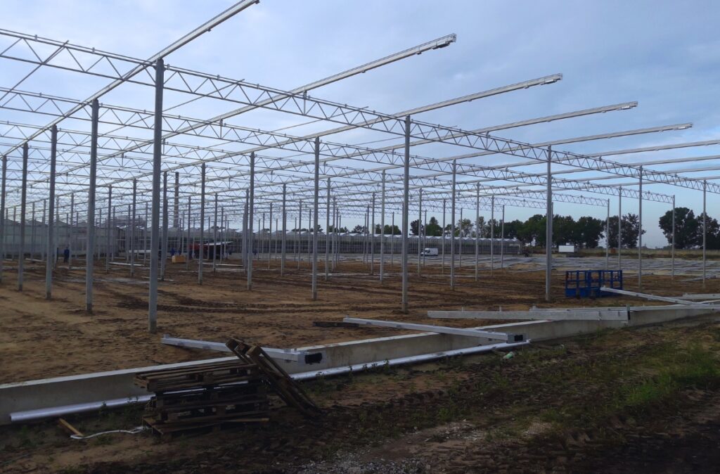 Etap montażu konstrukcji dachowej szklarni – stalowe belki i kratownice rozpięte nad wyrównanym terenem inwestycji, widok panoramiczny.