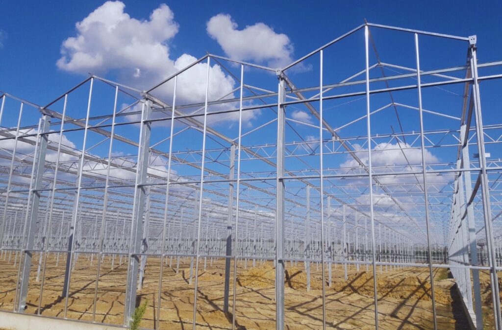 Szkielet stalowy szklarni przemysłowej – powtarzalne moduły konstrukcyjne z ryglami dachowymi i słupami nośnymi, widok pod kątem z poziomu gruntu.