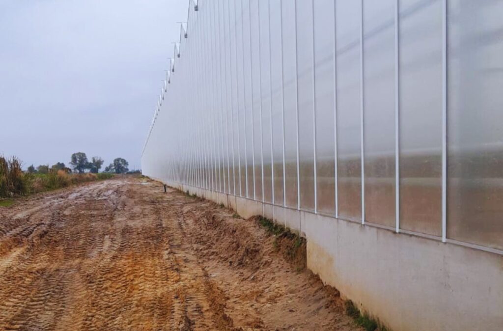 przeszklenie elewacyjne osadzone na betonowej podmurówce.