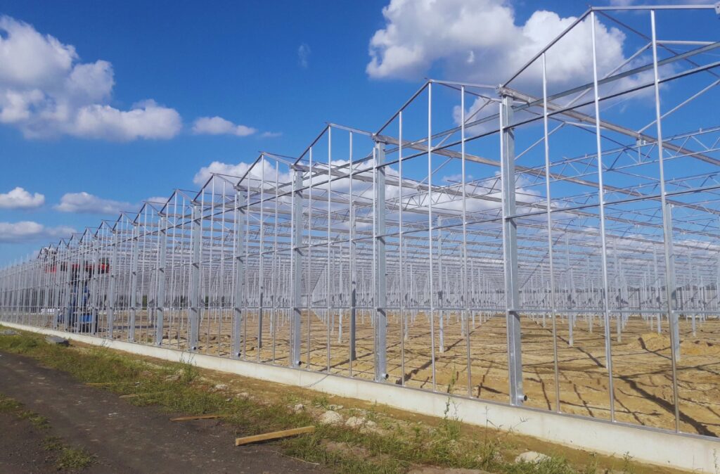 Stalowa konstrukcja wielonawowej szklarni w trakcie montażu – gęsta siatka słupów i kratownic dachowych osadzonych na betonowej podmurówce, widok zewnętrzny przy bezchmurnym niebie.