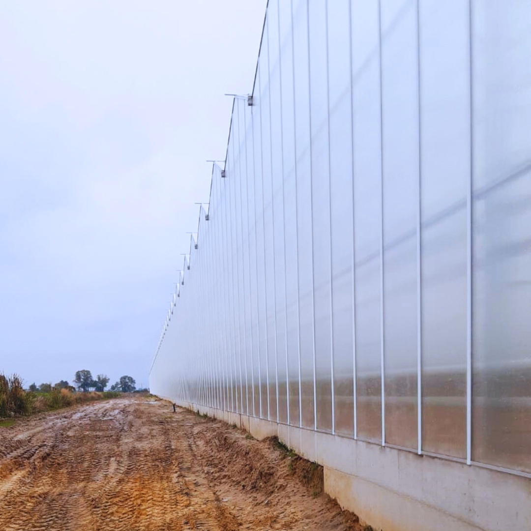 stalowa konstrukcja nośna, przeszklenie oraz elementy techniczne użyte w realizacji Skierski.