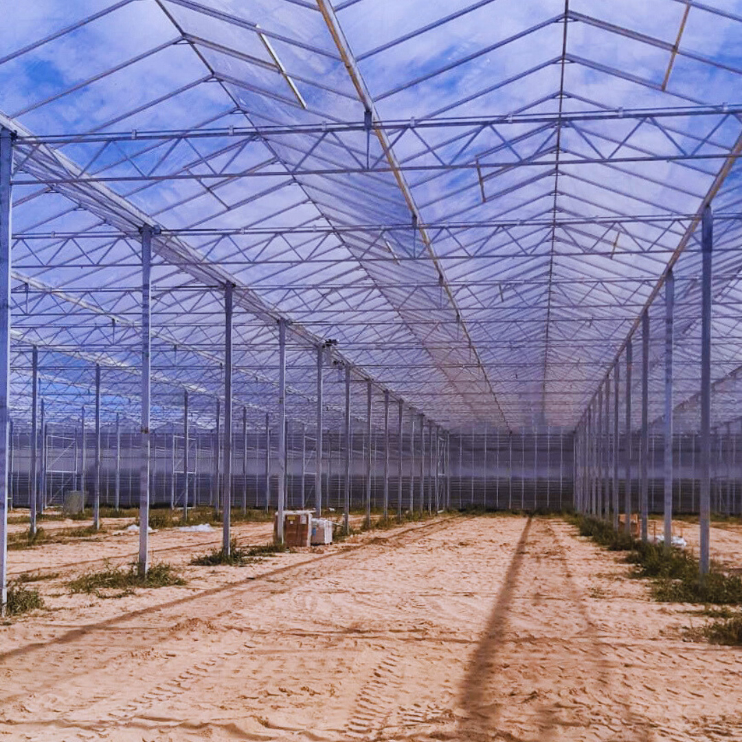 Specyfikacja realizacji szklarni produkcyjnej Venlo w Opatówku.