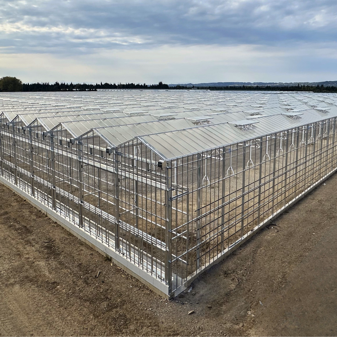 Widok na elewację ukończonej szklarni półzamknętej na etapie prac wykończeniowych.
