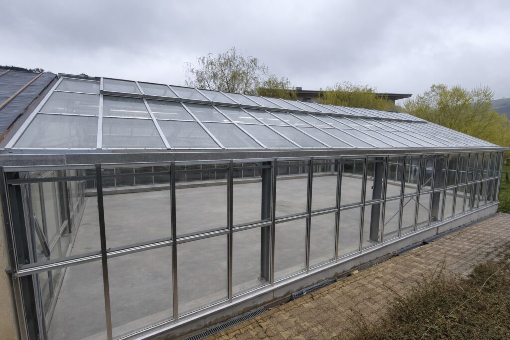 Przeszklona elewacja obiektu – nowoczesna szklarnia szerokonawowa.