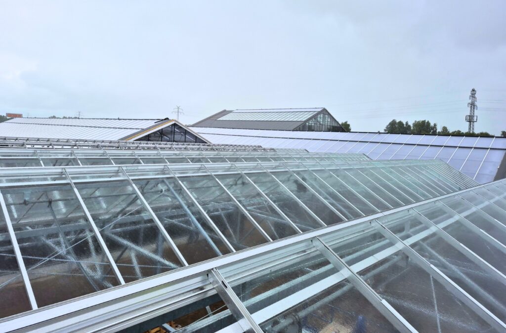 Widok na pokrycie dachu szklarni Cabrio